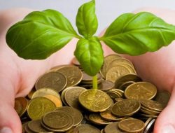 Aspek Hukum dalam Investasi Bisnis Thrifthing di Indonesia