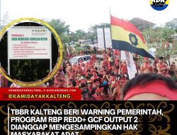 TBBR KALTENG BERI WARNING PEMERINTAH, PROGRAM RBP REDD+GCF OUTPUT 2 DIANGGAP MENGESAMPINGKAN HAK MASYARAKAT ADAT